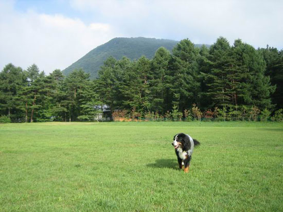 今日は涼しくて気持ちがいいわ。