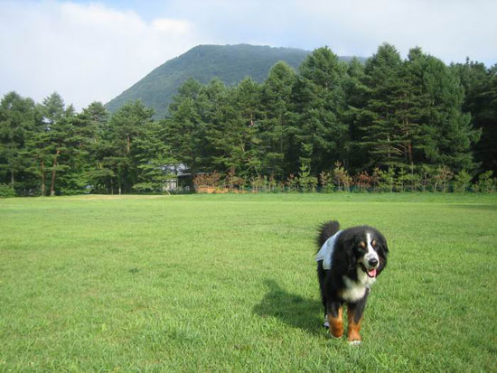 さあ、歩くわよ。