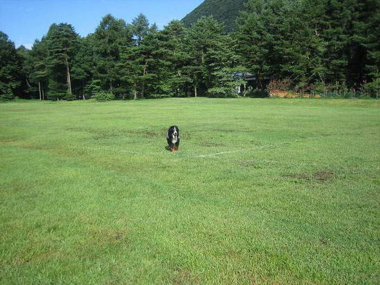 一歩一歩確実に・・・